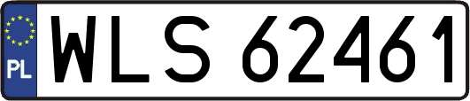 WLS62461