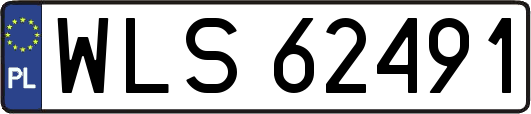 WLS62491