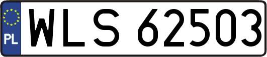 WLS62503