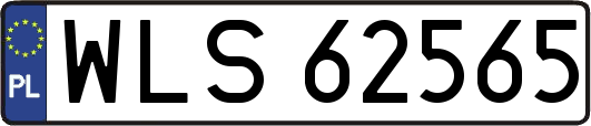 WLS62565