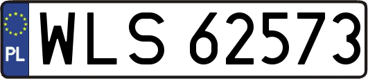 WLS62573