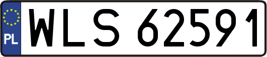 WLS62591