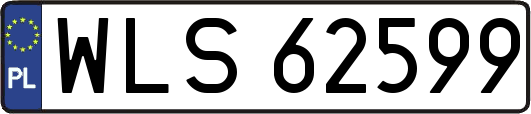 WLS62599