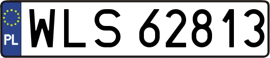 WLS62813