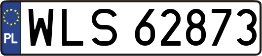 WLS62873