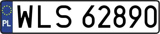 WLS62890