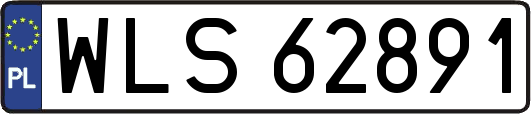 WLS62891