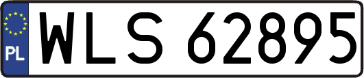 WLS62895