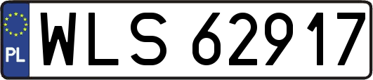 WLS62917