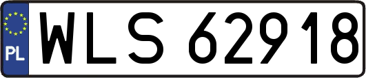 WLS62918