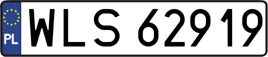 WLS62919