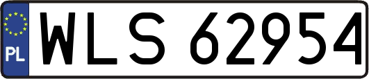 WLS62954