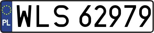 WLS62979