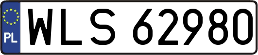 WLS62980