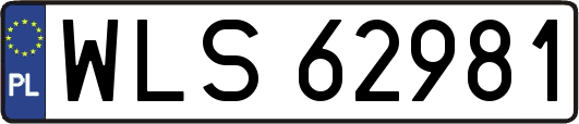 WLS62981