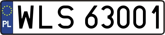 WLS63001
