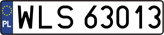 WLS63013