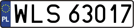WLS63017
