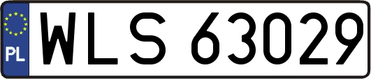 WLS63029