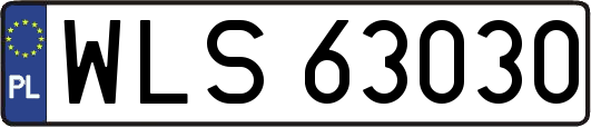 WLS63030
