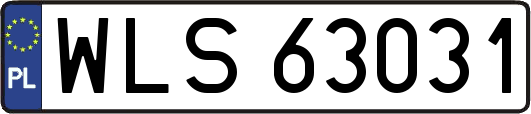 WLS63031