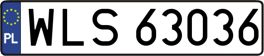 WLS63036