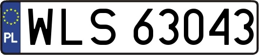 WLS63043