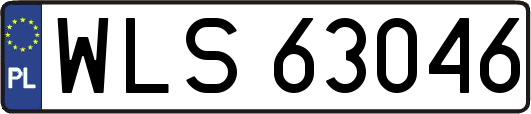 WLS63046