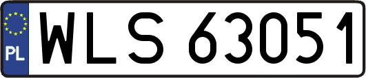 WLS63051