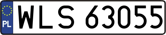 WLS63055