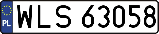 WLS63058