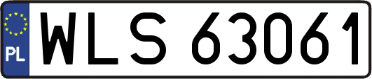 WLS63061