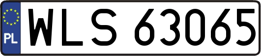 WLS63065