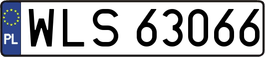 WLS63066
