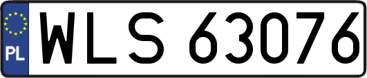 WLS63076