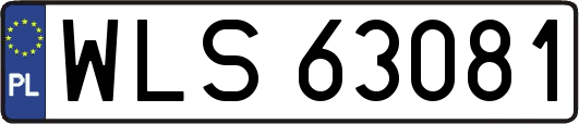 WLS63081