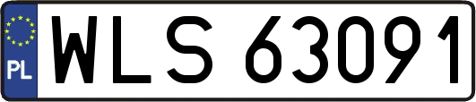 WLS63091