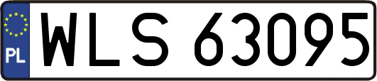 WLS63095