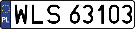WLS63103