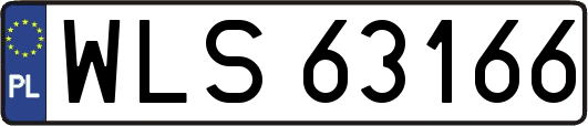 WLS63166