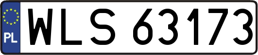 WLS63173
