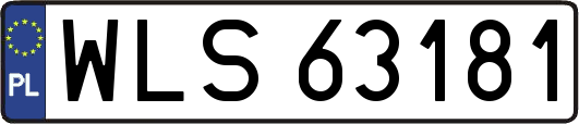 WLS63181