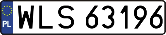 WLS63196
