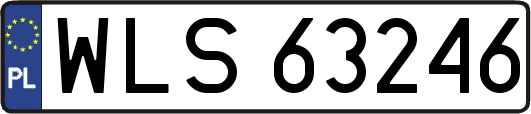 WLS63246