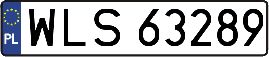 WLS63289