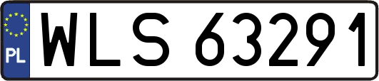 WLS63291