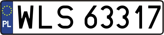 WLS63317