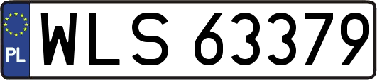 WLS63379