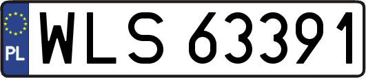 WLS63391
