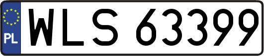 WLS63399